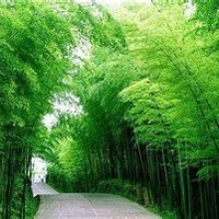 夏季