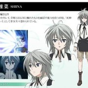 椎菜