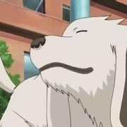 赤丸