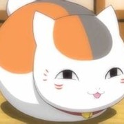 猫咪老师