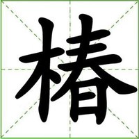 椿