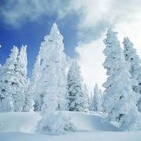 雪