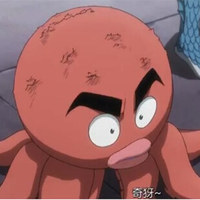 伊加鲁哥
