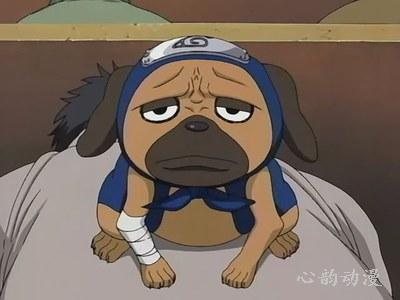 帕克
