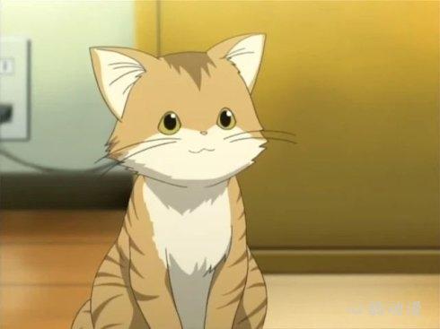 虎斑猫
