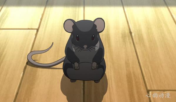 传信老鼠