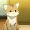 虎斑猫
